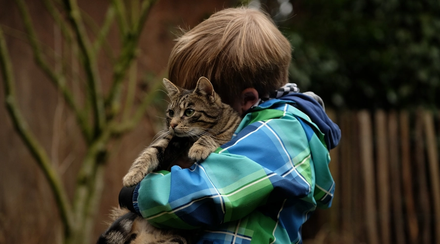 little boy hugging a cat