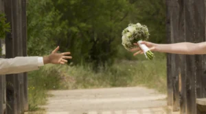 alimony lawyer